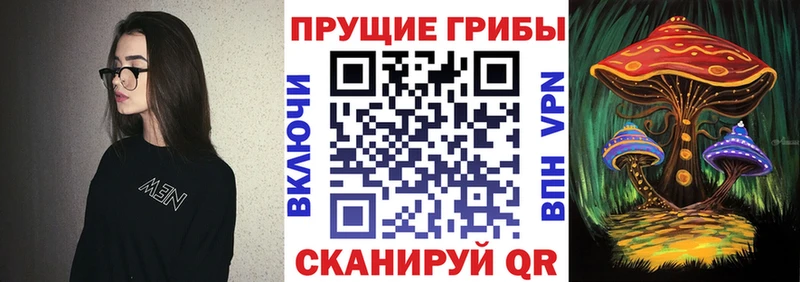купить наркотики сайты Обнинск Псилоцибиновые грибы GOLDEN TEACHER
